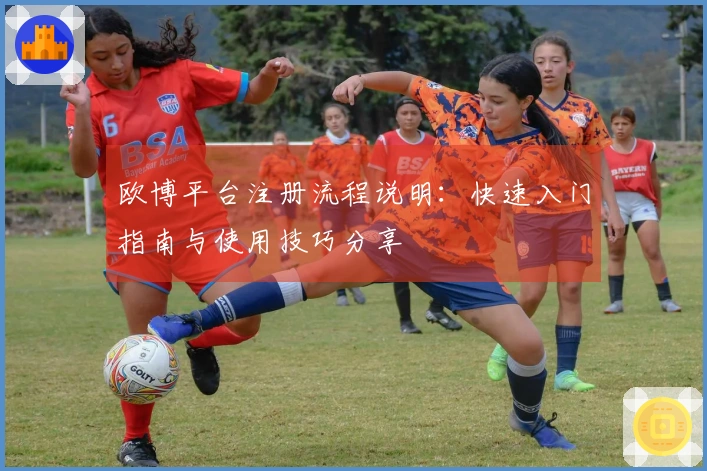 欧博平台注册流程说明：快速入门指南与使用技巧分享