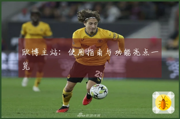 欧博主站：使用指南与功能亮点一览